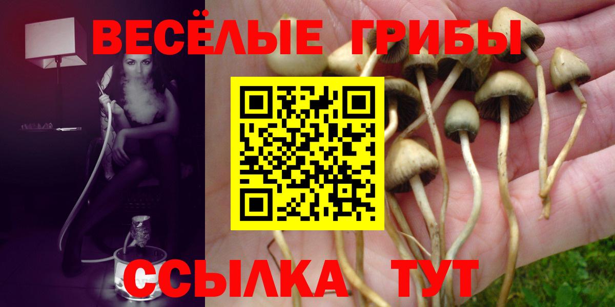 Дивногорск  Псилоцибиновые грибы прущие грибы  Вход с VPN 
