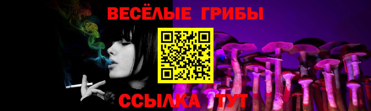 Галлюциногенные грибы ЛСД Дивногорск